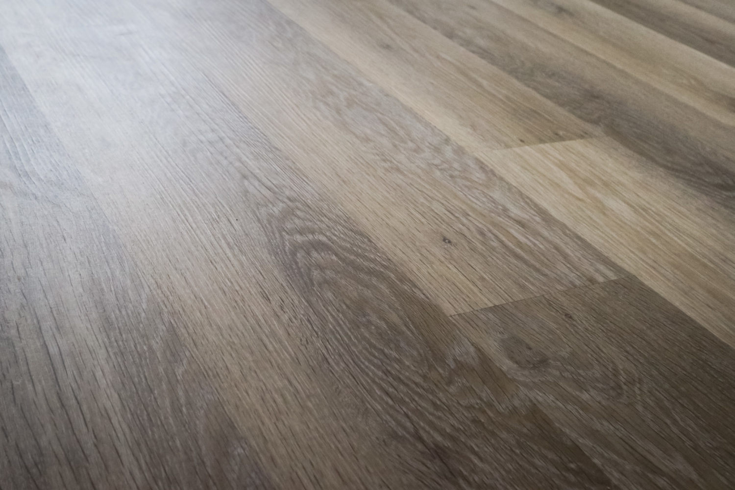 moonhill-int-pl16-6728_MR