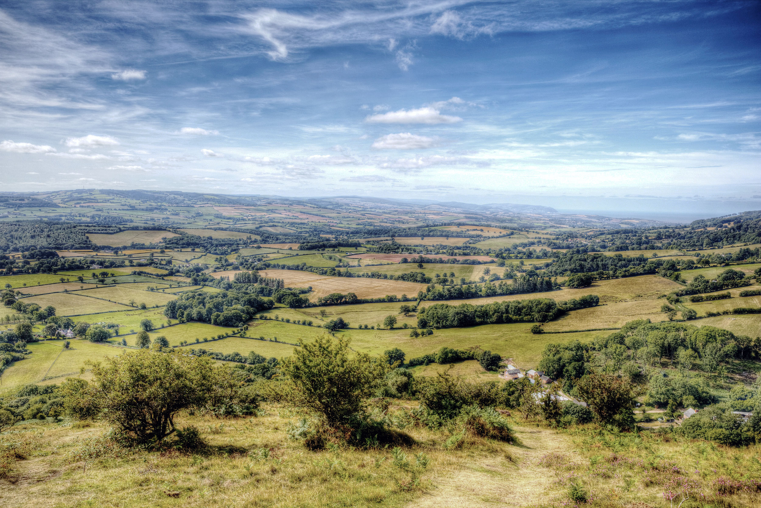Quantock