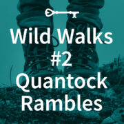 Wild Walks 2