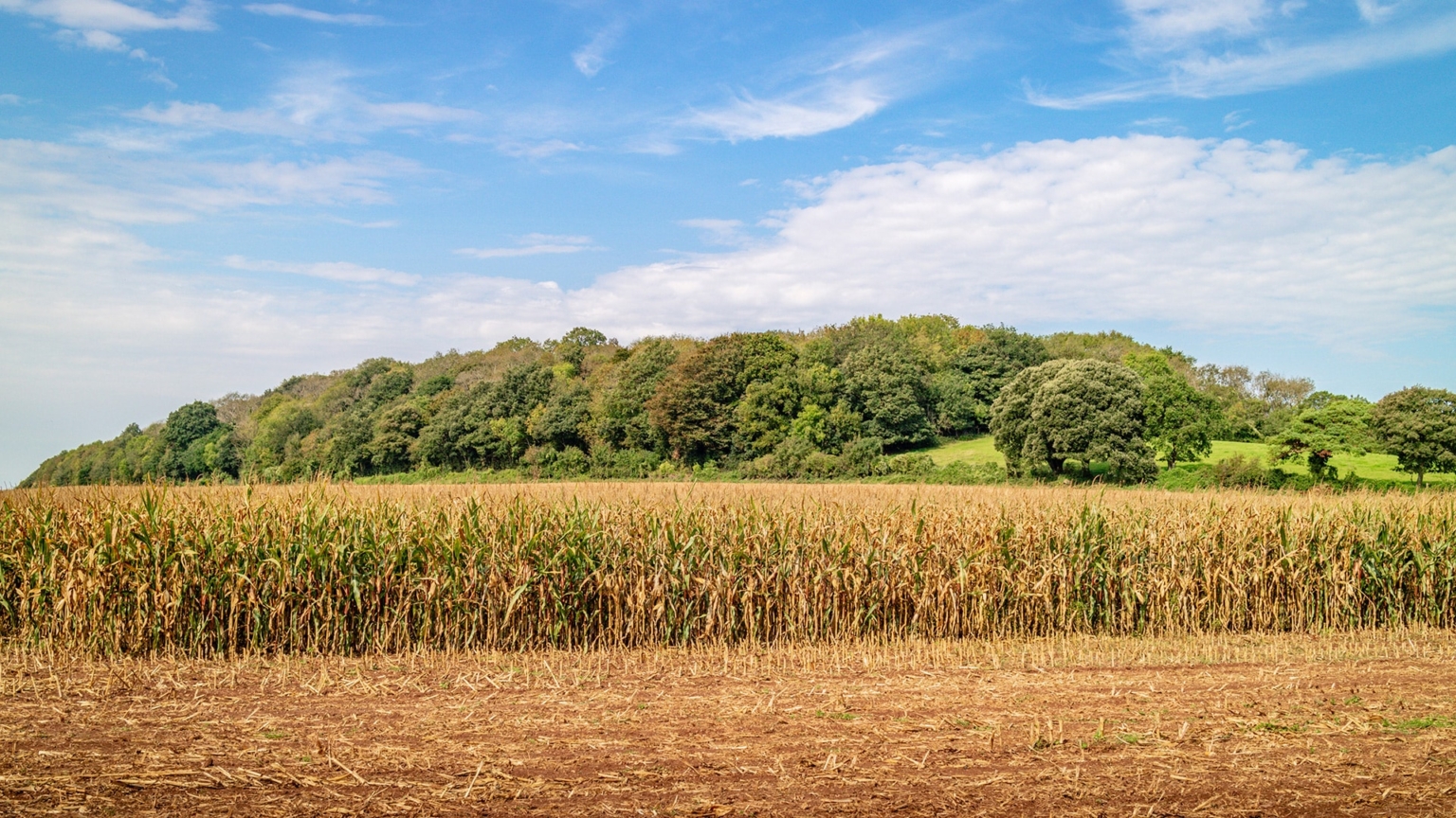 Jubilee Gardens new homes in Banwell, North Somerset